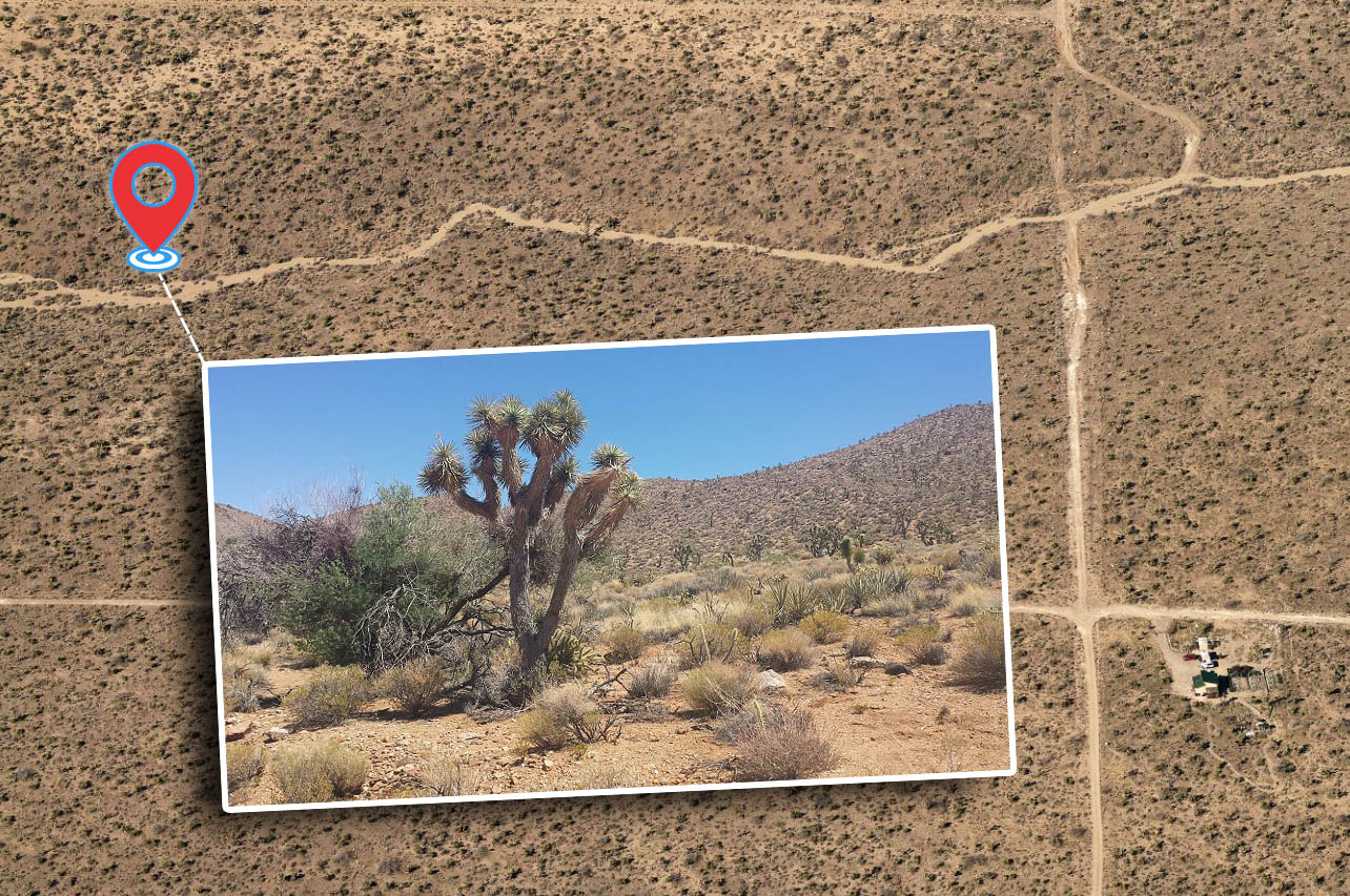 East View of Dolan Springs AZ land for sale